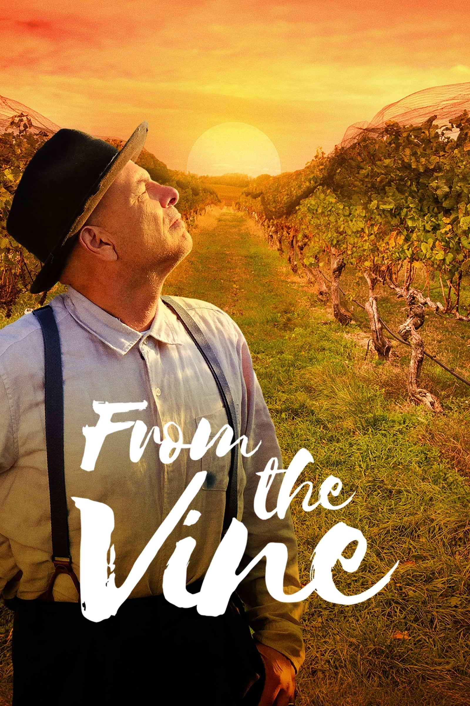 Постер From the Vine